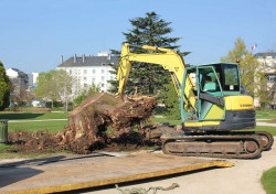 Dessouchage Ploërmel